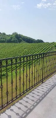 a iron fence with a view of a vineyard at Turistično - Izletniška kmetija Žerjav in Brežice