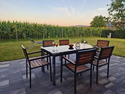 a table and chairs with wine glasses on a patio at Orange house Šempeter in Šempeter v Savinjski Dolini