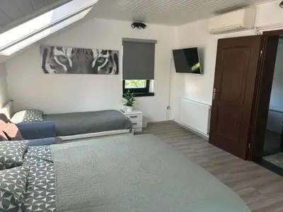 a bedroom with a bed and a tv in it at A&E Apartment in Ljubljana