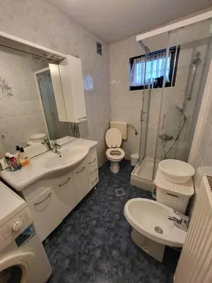 a bathroom with a sink and a toilet and a shower at Apartmaji Peric in Ljubljana
