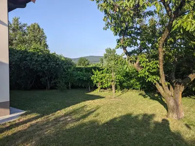 a green yard with a tree in the middle at Počitniška hiša Hum in Kojsko