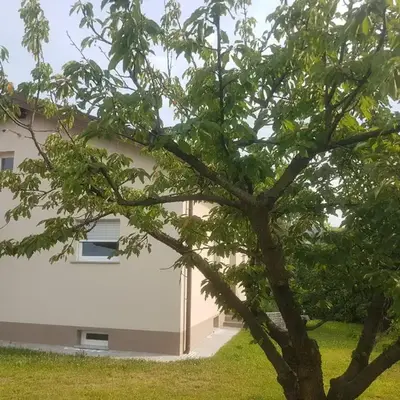Počitniška hiša Hum