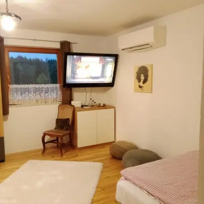 a living room with a flat screen tv on the wall at Apartmaji BORŠTNER in Vransko