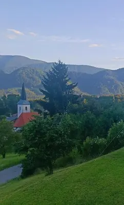 a church in the middle of a field with a tree at Apartmaji BORŠTNER in Vransko