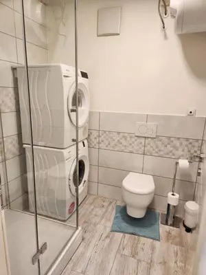 a bathroom with a washing machine and a toilet at Studio Apartma V8 in Maribor