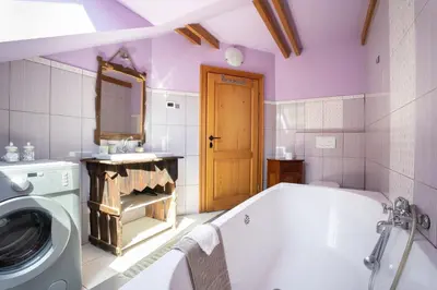 a bathroom with a tub and a washing machine at Horse Farm Holiday Pr' Kolenc in Zgornje Gorje