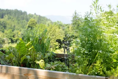 a garden with plants and trees in the background at Horse Farm Holiday Pr' Kolenc in Zgornje Gorje