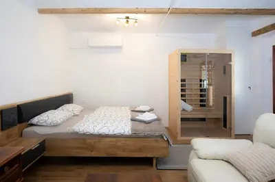 a small room with a bed and a glass shower at Marjeta in Begunje na Gorenjskem
