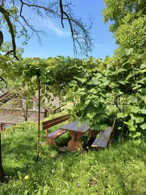a picnic table in the grass next to a tree at Charming Bella Hideout - Adults Only in Jesenice