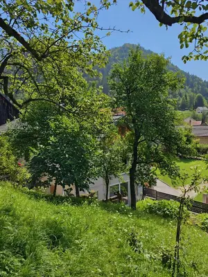 a field of grass with trees and a house at Charming Bella Hideout - Adults Only in Jesenice