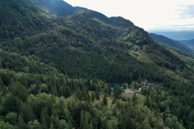 an aerial view of a forested mountain with a house at Charming Bella Hideout - Adults Only in Jesenice