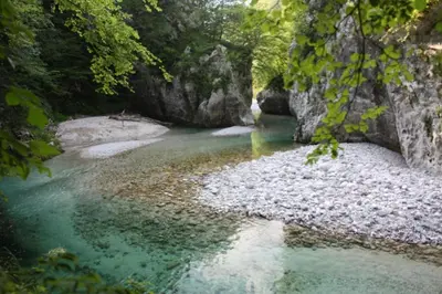 a river with green water and rocks and trees at Apartma Kresnička in Kobarid