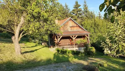 a wooden cabin in a field with a tree at Hiška ob gozdu in Polzela