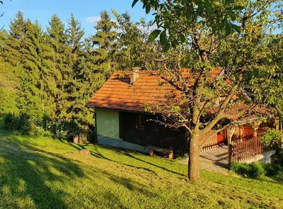 a house with a red roof on a green field at Hiška ob gozdu in Polzela