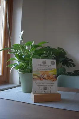 a box of carrots sitting next to a plant at Studio apartment Velis in Radovljica