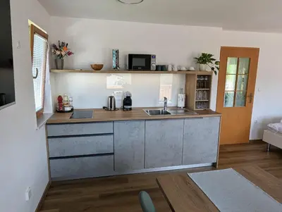 a kitchen with a sink and a counter top at Studio apartment Velis in Radovljica
