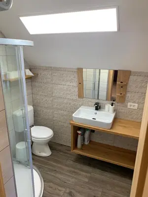 a bathroom with a sink and a toilet at Apartma Povlč in Poljane nad Škofjo Loko