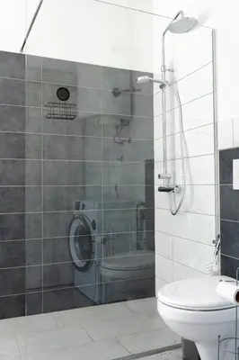 a bathroom with a shower and a toilet at Apartment Ivana Krško in Krško