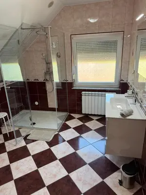 a bathroom with a shower and a sink at Green House Apartment in Pivka