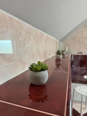 a plant in a white vase sitting on a counter at Green House Apartment in Pivka