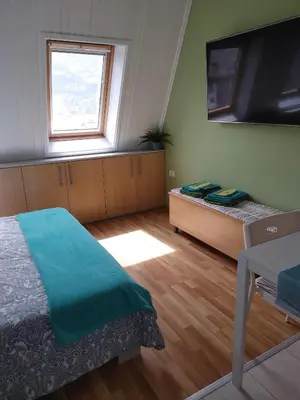 a bedroom with a bed and a flat screen tv at Apartma Luca, Bovec in Bovec