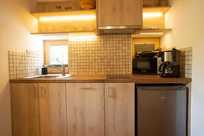 a kitchen with wooden cabinets and a sink and a microwave at GUTA in Bled