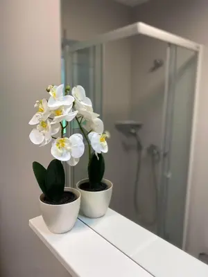 two white flowers sitting on a counter in a bathroom at Guest House Golja in Bled