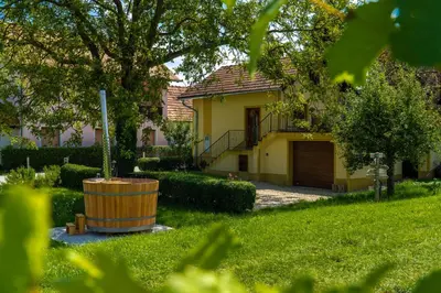 a yellow house with a tree in the yard at Casa No. 51 in Kog