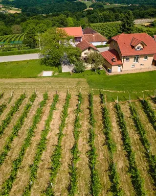 an aerial view of a field with a house in the background at Casa No. 51 in Kog