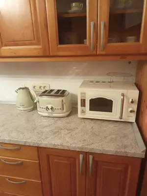 a kitchen with a microwave and a toaster on a counter at Apartma Brina 3 in Sežana