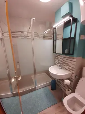 a bathroom with a shower and a toilet and a sink at Apartma Eda, Bovec in Bovec