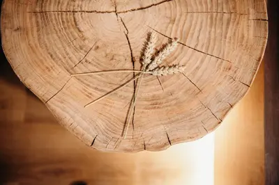 a piece of wood with a dried plant on it at Apartments Triglav in Mojstrana