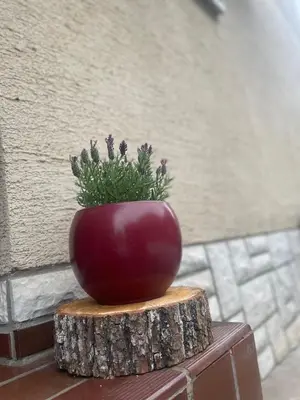 a red vase with a plant in it sitting on a tree stump at Apartma Šohen in Kočevje