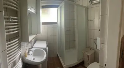 a white bathroom with a sink and a shower at Apartma Šohen in Kočevje