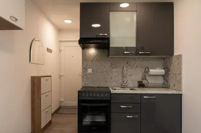 a kitchen with a black stove and a sink at Apartma Nadja in Maribor