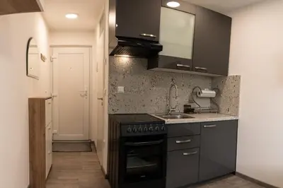 a kitchen with a black stove and a sink at Apartma Nadja in Maribor