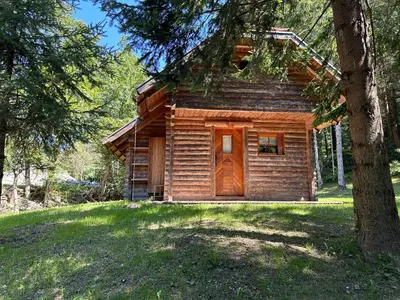 a log cabin in the woods with a tree at Hiška ob potočku in Ljubno