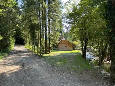 a dirt road leading to a cabin in the woods at Hiška ob potočku in Ljubno