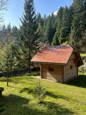 a small house with a red roof in a field at Hiška ob potočku in Ljubno