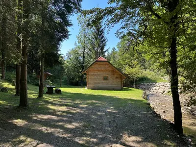 a wooden cabin in the middle of a field with trees at Hiška ob potočku in Ljubno