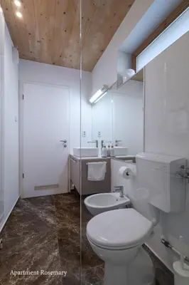 a white bathroom with a toilet and a sink at Apartment Rosemary in Topolšica