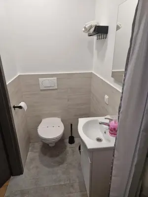 a small bathroom with a toilet and a sink at Cona rooms in Cerkvenjak