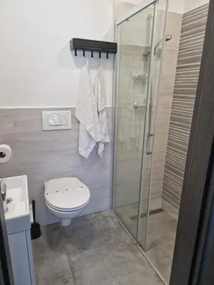 a bathroom with a toilet and a glass shower at Cona rooms in Cerkvenjak