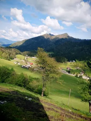 a view of a green field with mountains in the background at POČITNIŠKA HIŠKA LASTOVKA in Podvolovljek