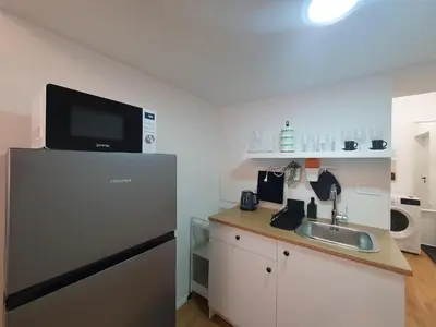 a kitchen with a refrigerator and a sink at Chic studios Wendy in centre Tour As Ljubljana in Ljubljana