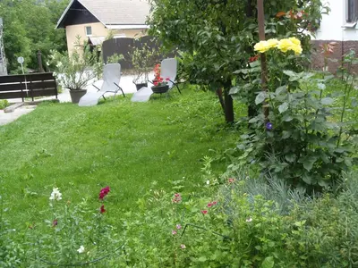 a garden with chairs and flowers in a yard at Apartments Gregorc in Bled