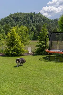 a cat walking in the grass next to a picnic table at Apartments Olip in Bled