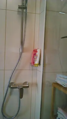 a bathroom with a shower with a bottle of tooth paste at Apartments Boris in Bled