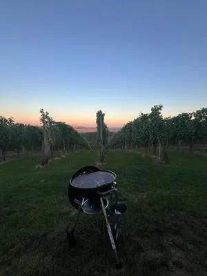 a bbq grill in a field with trees at Villa VINEYARD in Velika Nedelja