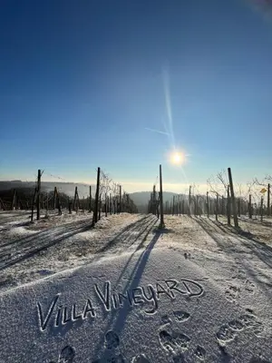 a pair of footprints in the snow with the sun in the background at Villa VINEYARD in Velika Nedelja